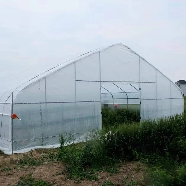 

Customized greenhouseAgricultural Single-Span Tunnel Greenhouses Used Commercial High Tunnels Greenhouses