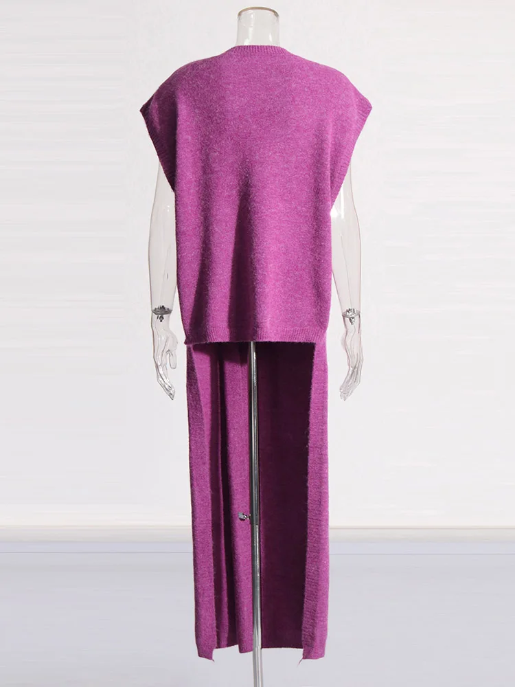 TWOTWINSTYLE Solid Elegant Two Piece Set For Womwn O Neck Sleeveless Long Sweater High Waist Casual Pant Minimalist Sets Female