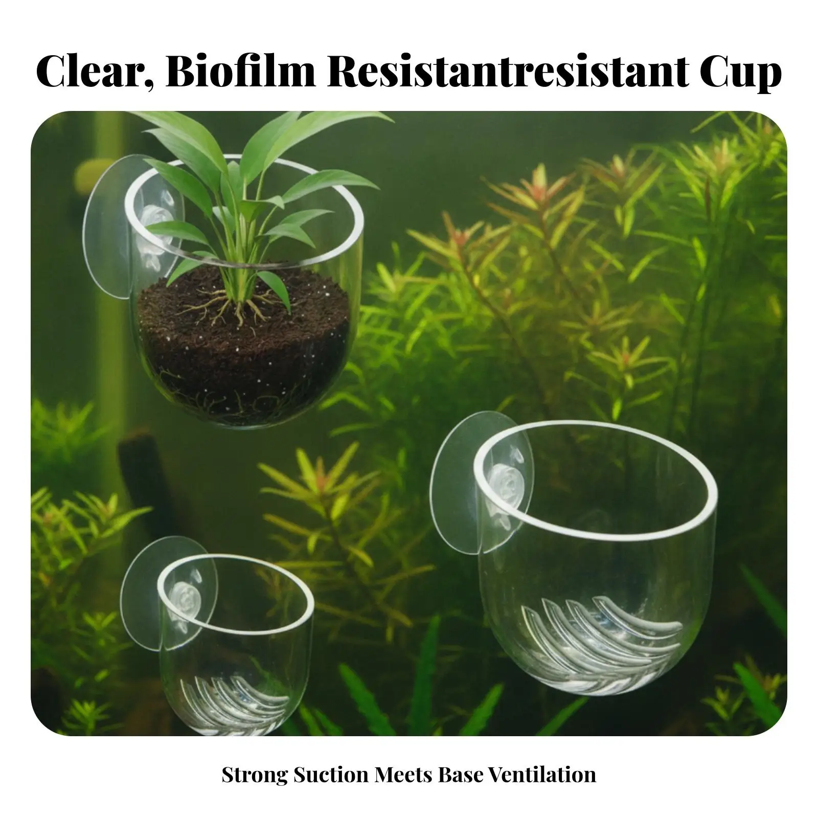 3 Pieces Aquatic Plant Pot Compact Aquatic Tank Plant Holder with Suction Cups Aquarium Cup with Suction Cup Transparent Clear