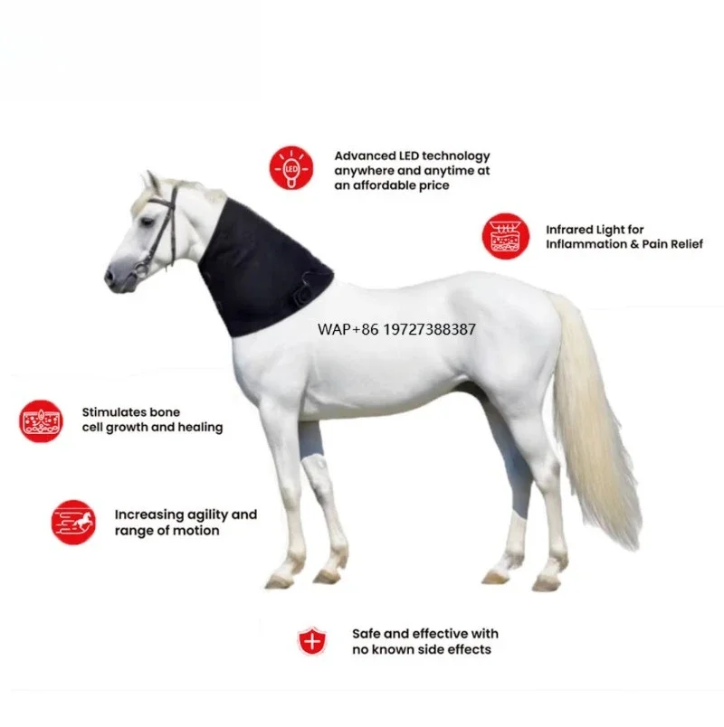

Red Light Targeting Neck Areas Veterinary Instrument Infrared Therapy Blanket Horse Racing Equestrian Rug HealthCare