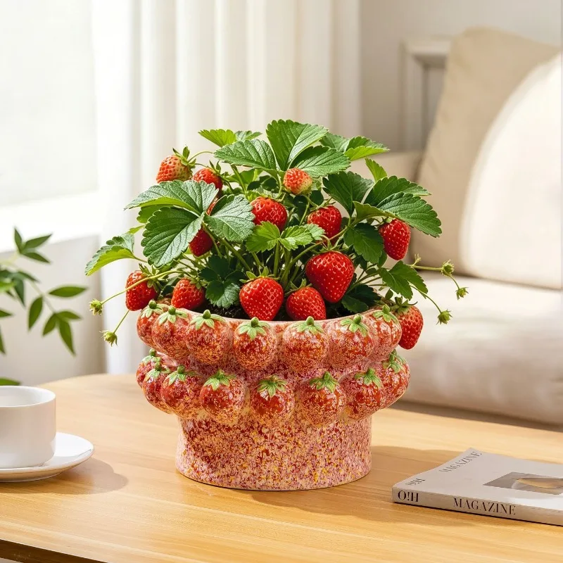 Ceramic vase ornament, hydroponic, simple simulation strawberry vase flower pot, modern countertop creative green plant ornament