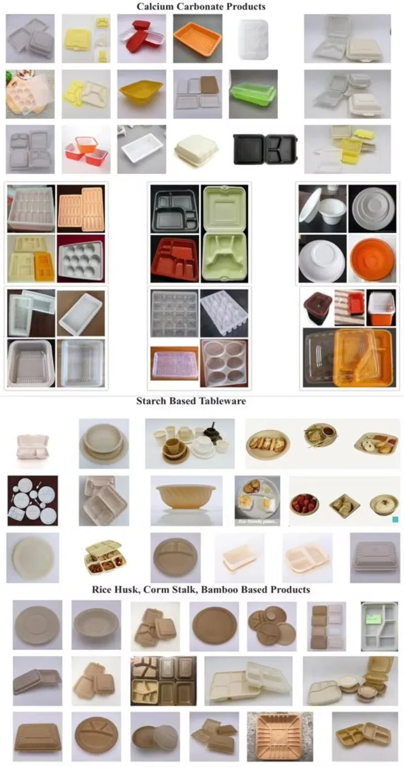Biodegradable Corn Starch Based Takeaway Food Packing Box Lunch Container Making High Energy Saving Thermoforming Machine