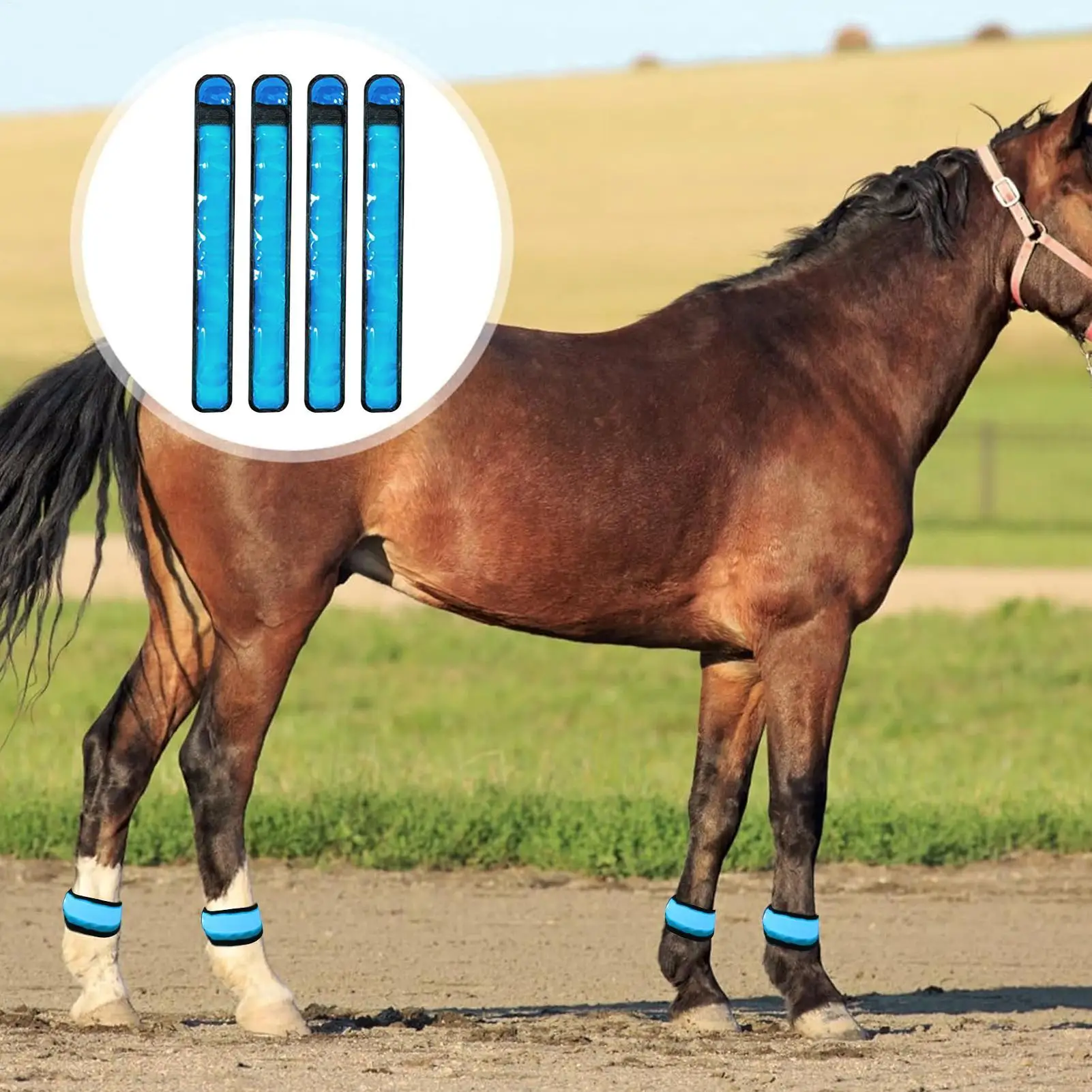أربطة أرجل الحصان 4 قطع طماق السلامة 4 طرق توهج الأشرطة لركوب الليل درب الطريق موكب مزرعة كشك مزرعة مستقرة