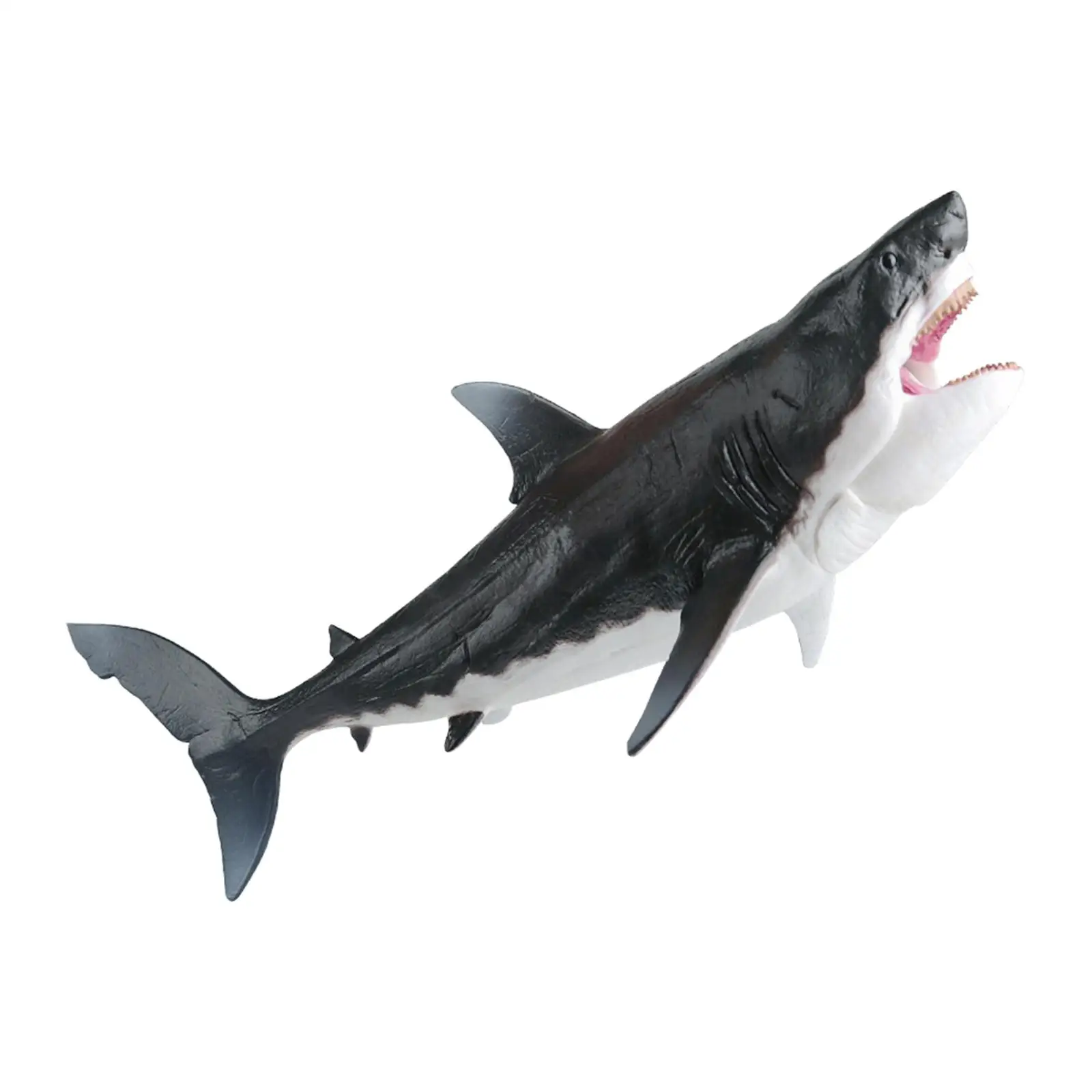 Big Shark Fish Educational Toy Prehistoric Megalodon Action Figure Sea Life