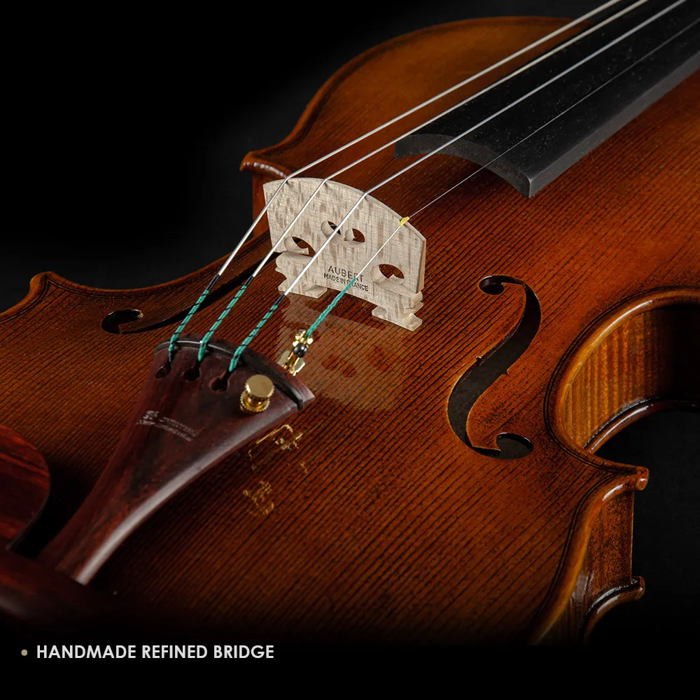 CHRISTINA Violin for Professional S500A Antique Style with Rosewood Fittings European Premium Spruce Two-piece Flame Maple Back