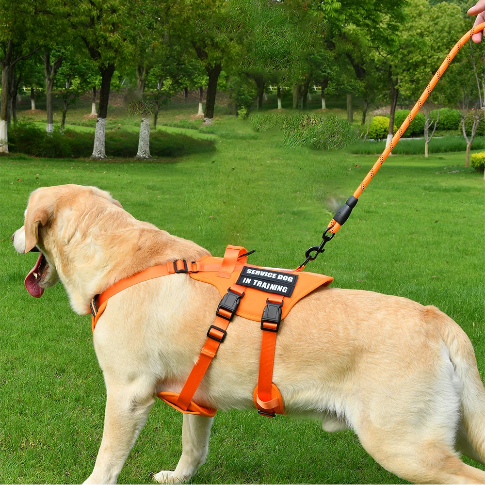 Service-Hundeweste, kein ziehendes Hundegeschirr mit 4 Hundeflicken, reflektierendes Haustiergeschirr mit langlebigem, weich gepolstertem Griff für das Training Med – Detail 10