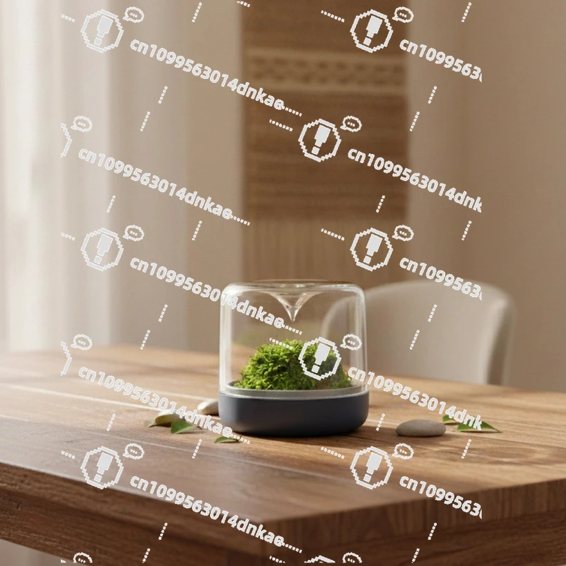 Geometric Nature Small Moss Micro Landscape Grey Green Plants Indoor Planting Small Pot
