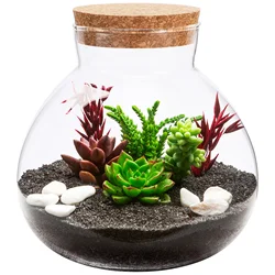 Micro Landscape Ecological Bottle Microlandscape Plants Light Bulbs Home Empty Glass Moss Planter Terrarium