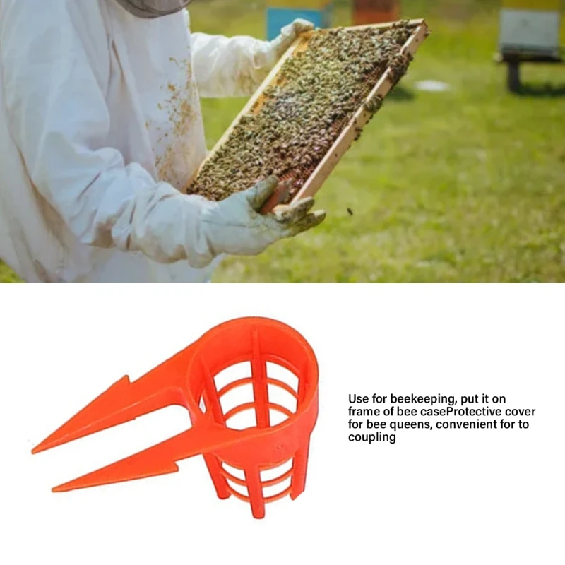 20 pz Regine Gabbie Apertura In Plastica Regine Gabbia Protezione Cellulare Coperture Apicoltura Allevamento Tazza