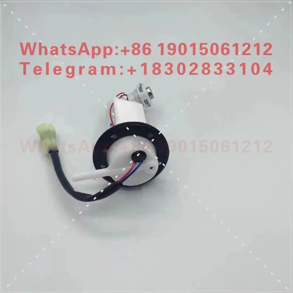 1pcs   EFI Horizon Pump National IV R35V6 Xiaofeng N19  Pump Assembly
