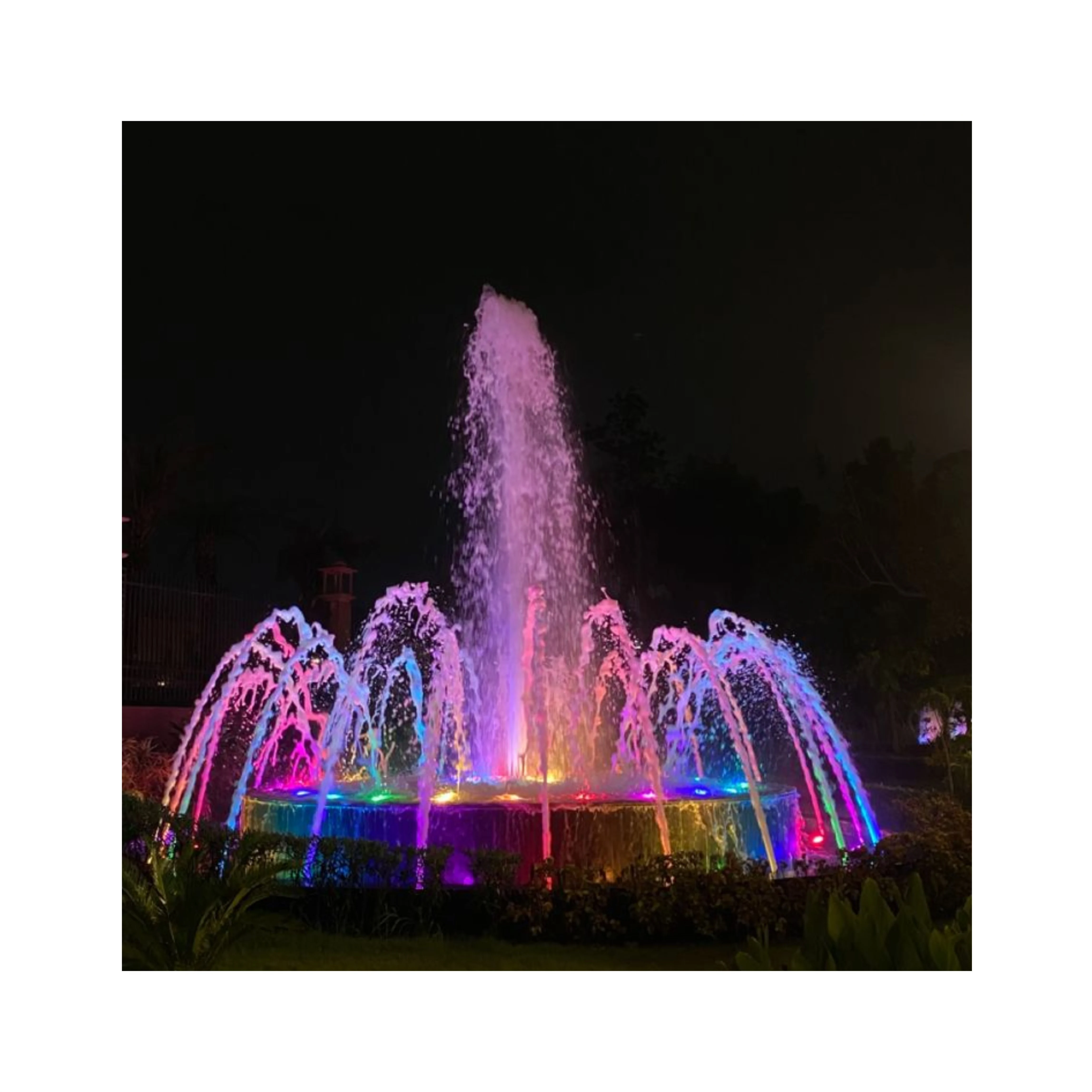 

Modern Customizable Small Outdoor Water Fountain Stainless Material for Garden Lake or Villa Decorative Music Fountain