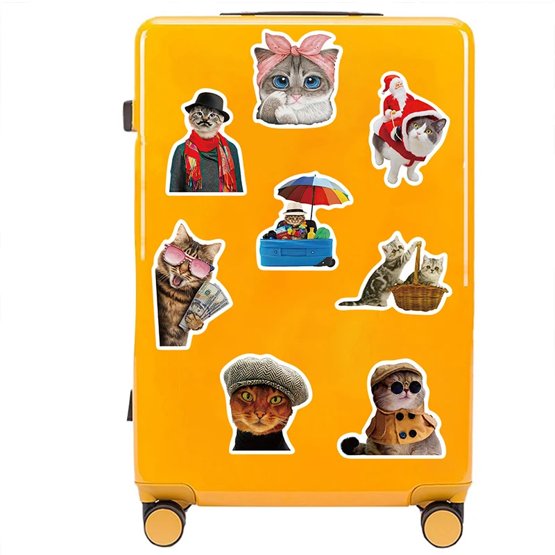 50PCS Funny Cat Meme Sticker Graffiti Animal Decals Bottle Kitten Stickers Laptop Luggage Notebook Refrigerator  Graffiti Decals