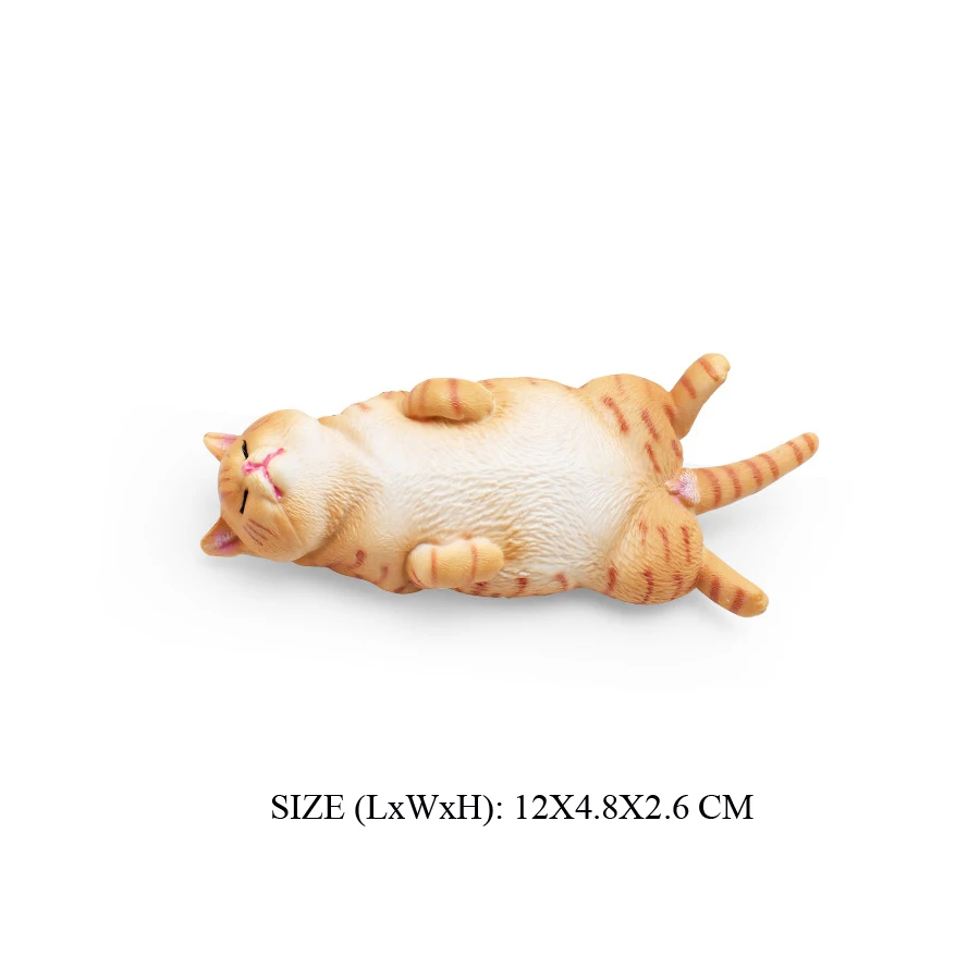 Cat -38