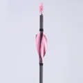 shield 1.75 Pink RW