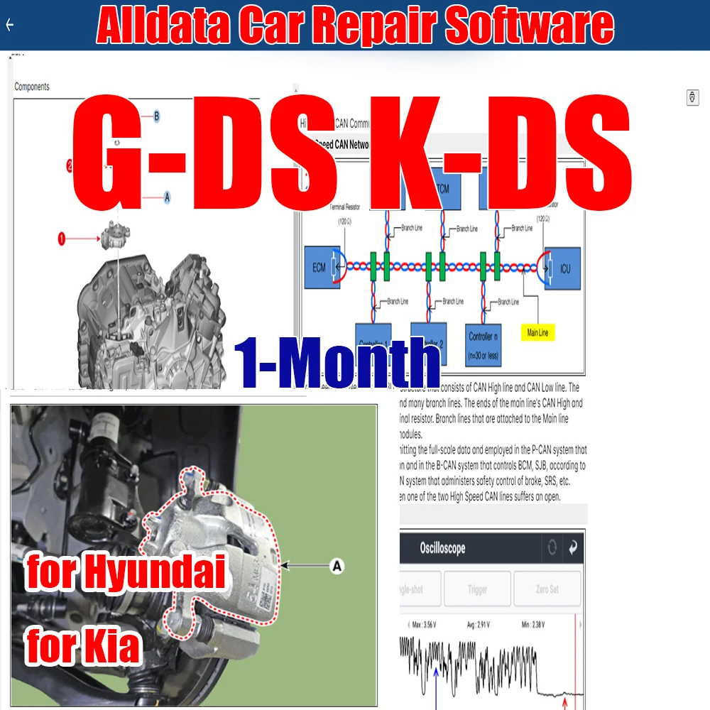 1-Month G-DS K-DS Whole Data for Alldata Car Repair Software Online Account G-DSKD-S Full Version Web Login for Hyundai for Kia
