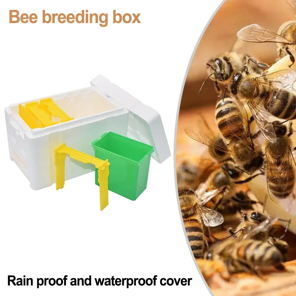 Queen Bee Fokken/Doos Bee Paring Box Foam Bee Hive Box Imker Tuin Bestuiving Box Bee Fokken Case Bijenteelt tool