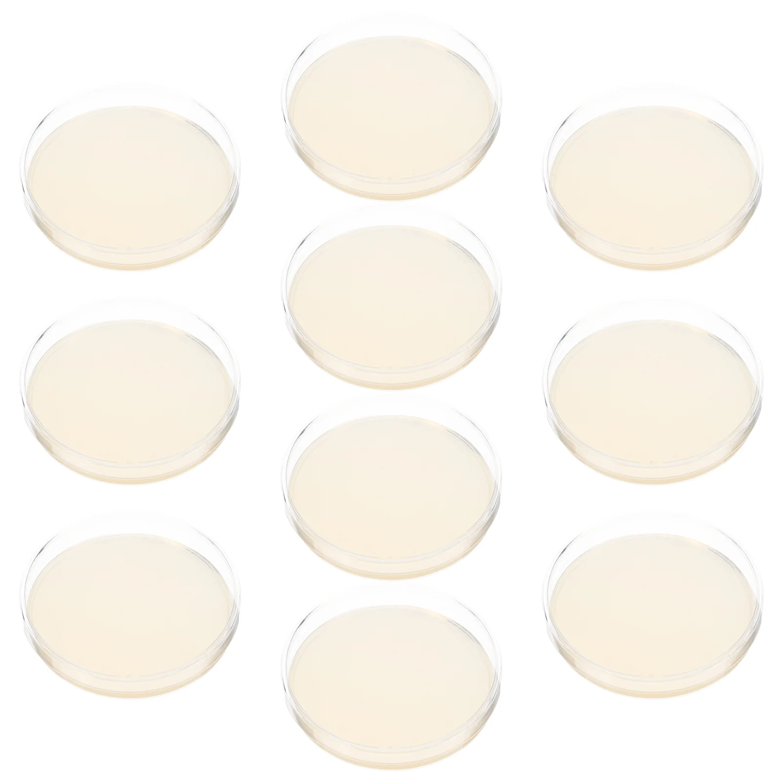 

10 Pcs Project Agar Air Kit System Plates Biological Determine Equipment Medium Flat