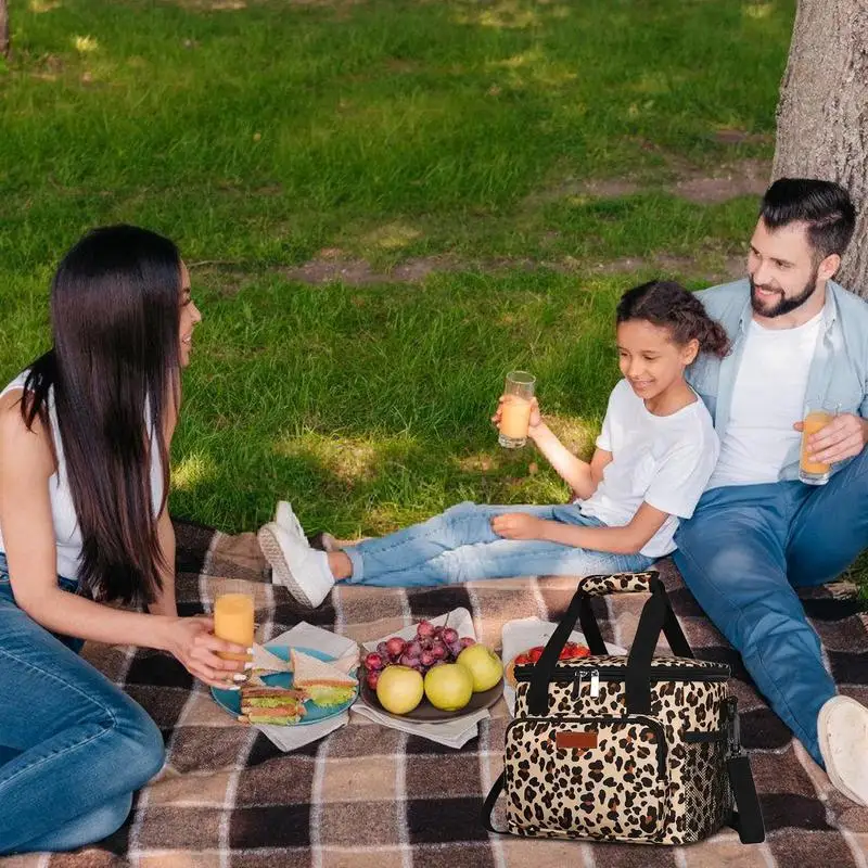 Borsa per il pranzo isolata scatola per il pranzo in tessuto Oxford di grande capacità per le donne borsa per il pranzo isolata a tracolla portatile