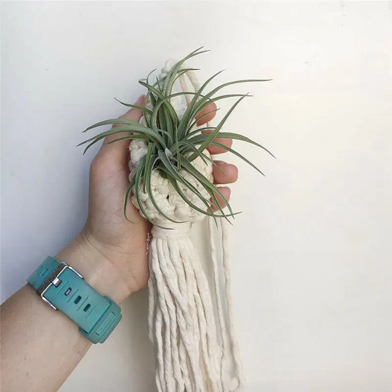 ABMI-3X Boho Macrame Air Plant Hanger Tillandsia Hanging Basket Rope Holder Flower Home Decor (13CM),