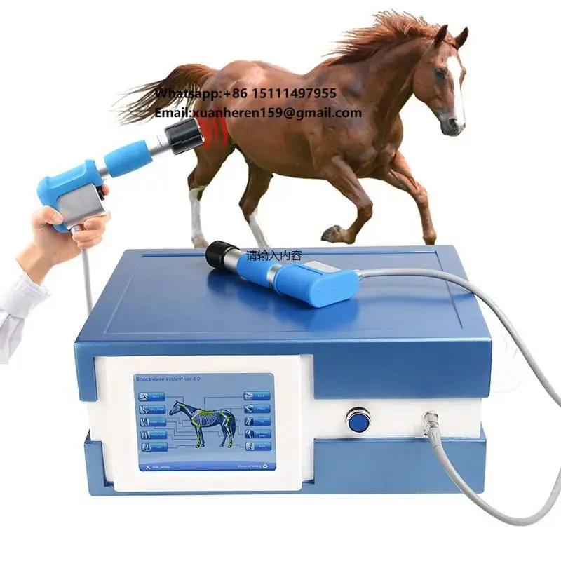 Portable Veterinary Medical Shockwave Therapy Machine Veterinary Equine Shockwave Therapy Device for Horse