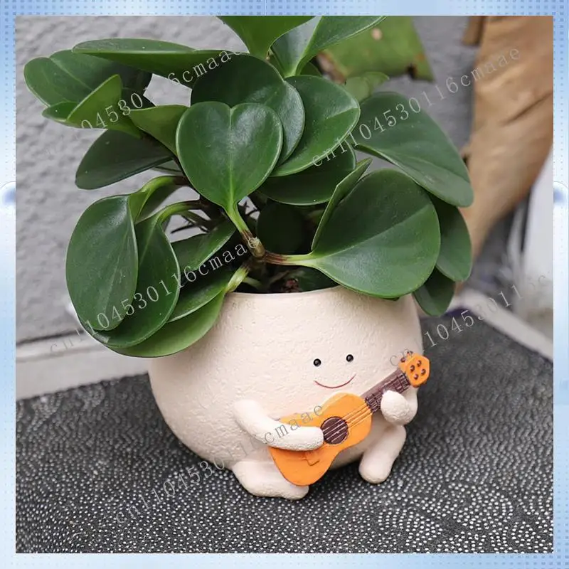 NEW Flower Pot with Drainage Holes and Cute Resin, Used for Unique Indoor Succulent  Pots  Plant Skewers