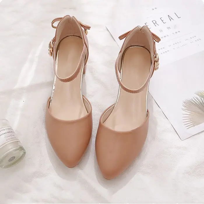 Apricot