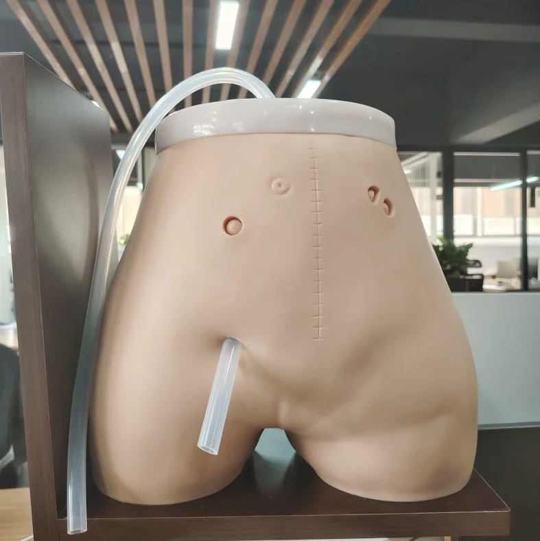 PVC Peritoneal Dialysis Training Model for Medical Science Education Clinical Skills Demonstration Durable Natural Size
