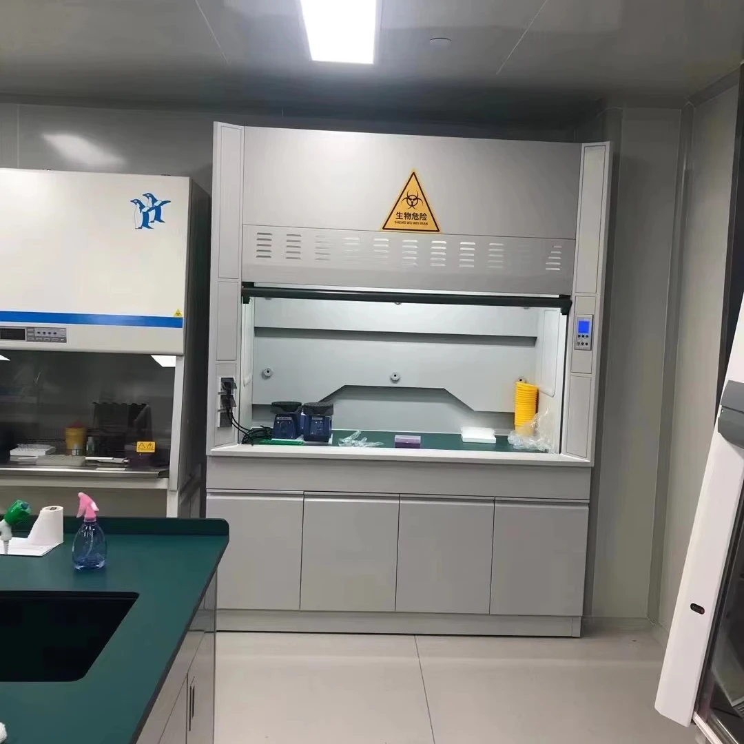 

Medical Science Lab Science Steel OEM Laboratory Furniture Chemical Exhausting Fume Hood Cupboard
