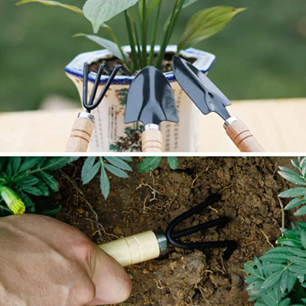 

Набор из 10 садовых инструментов для бонсай и мини-садоводства: ручные принадлежности для пересадки суккулентов и работы с почвой