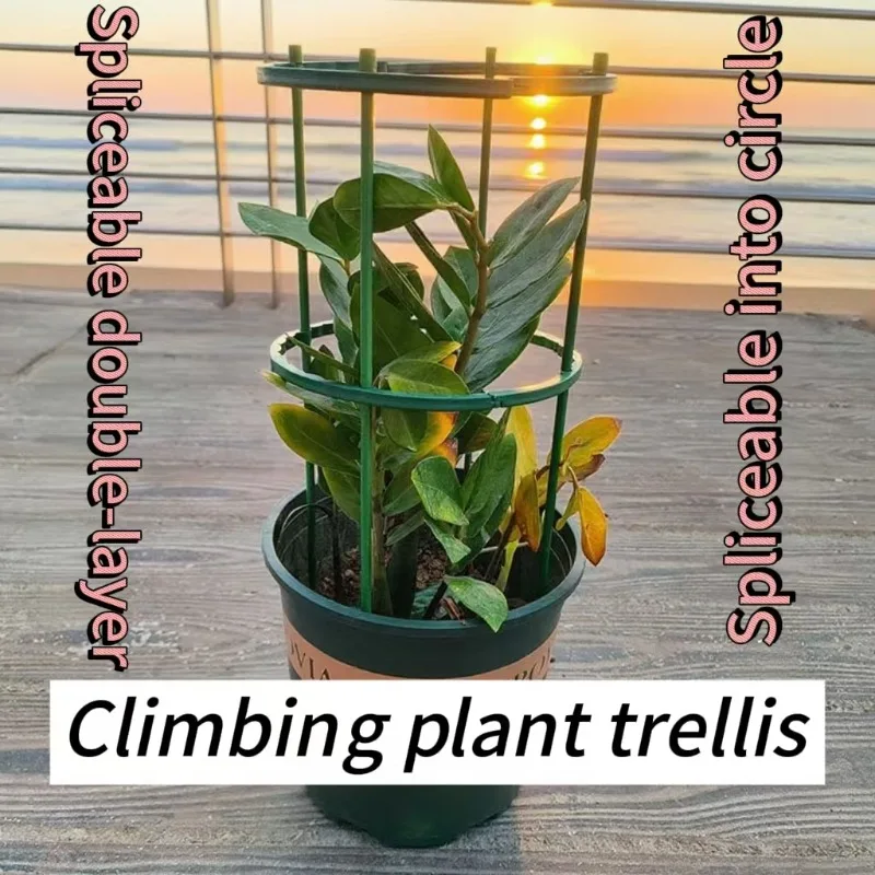 

3/4/6/8 шт., свая для поддержки растений, садовая рама, полукруглое опорное кольцо, пластиковая клетка для растений, инструменты для поддержки растений, фиксирующий стержень