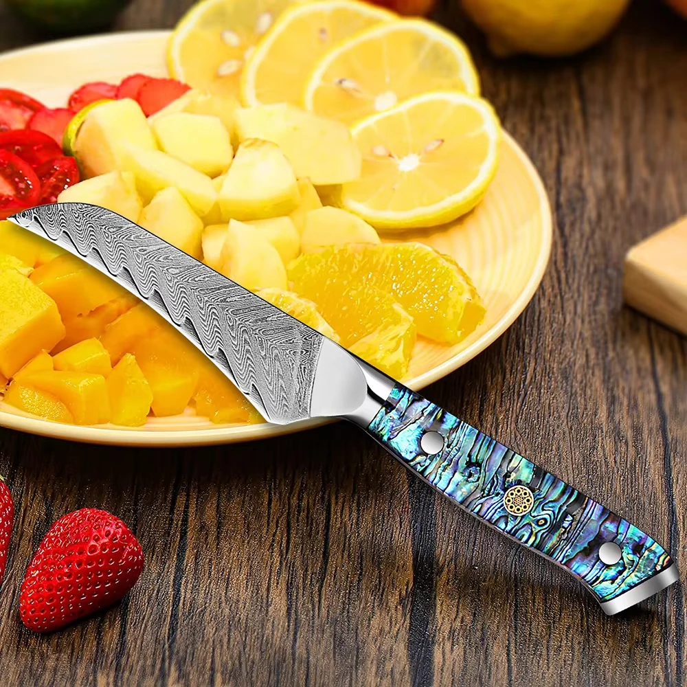 

3.5-inch Fruit Knife Premium Japanese Damascus Steel Peeler Home Use Fruit Cutting Peeling and Coring Knife Abalone Shell Handle