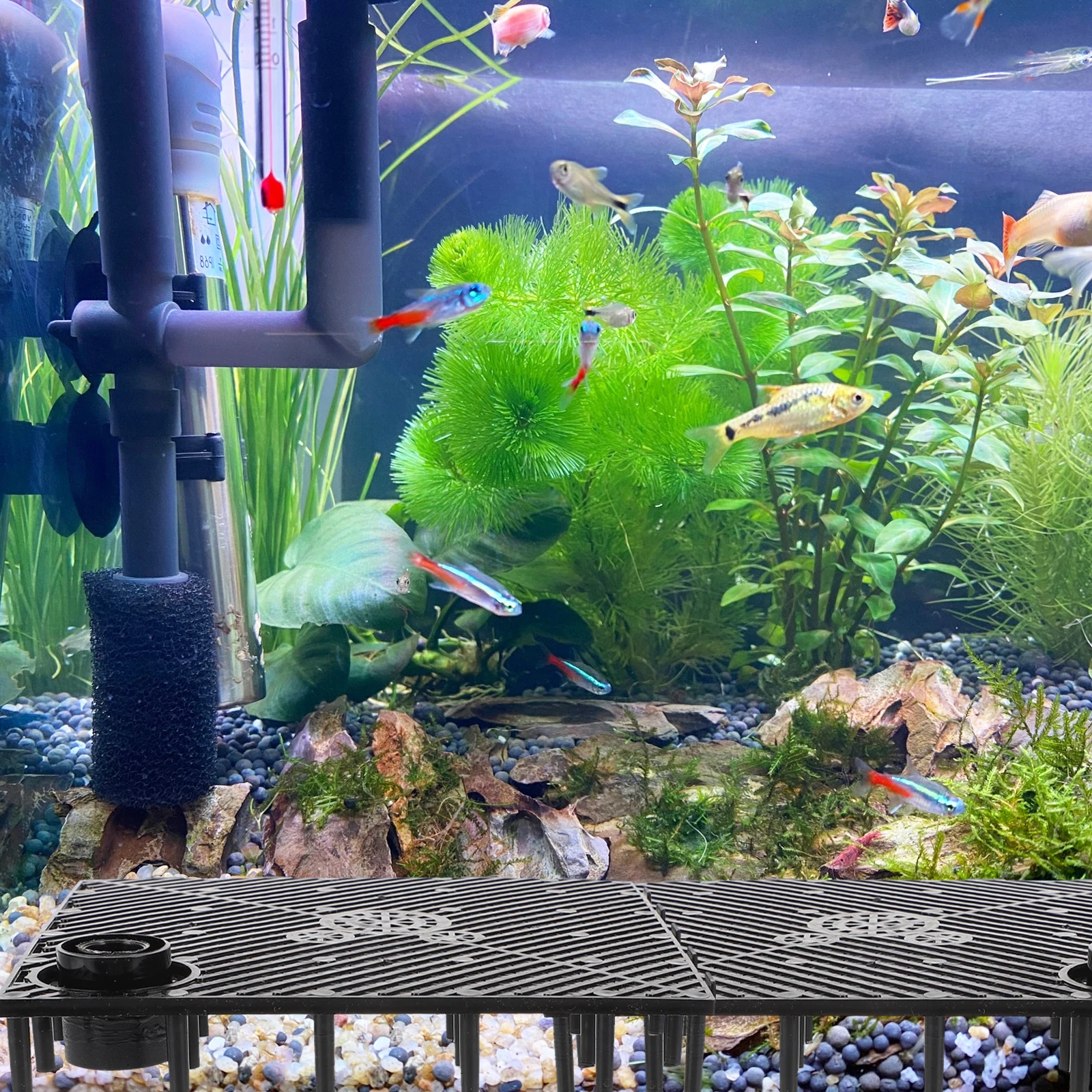 

12pcs Bottom Filter Plate Fish Tank Aquarium Supplies Water Filtration System Multi Hole Design Strong Support Sand Dividing