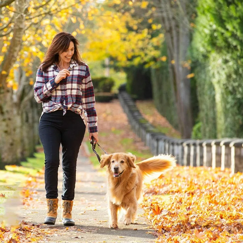 20/1 قطعة الفولاذ المقاوم للصدأ الربيع المفاجئة حلقة تسلق M4 M5 M6 M7 M8 وصلة سريعة قفل حلقة مشبك سلاسل المفاتيح التخييم في الهواء الطلق الربيع المفاجئة