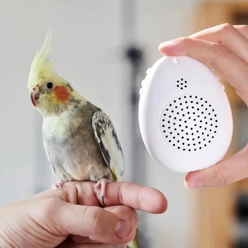 Machine d'apprentissage des sons d'oiseaux avec lecture interactive, pour l'apprentissage des parroquets, à contrôle par minuterie, source audio multi-segments