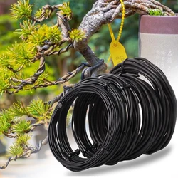 3m/5m/10m Black Bonsai Wire Anodized Aluminum Bonsai Training Ties Plant Support Branches Bend Fixing Strings Garden Accessories