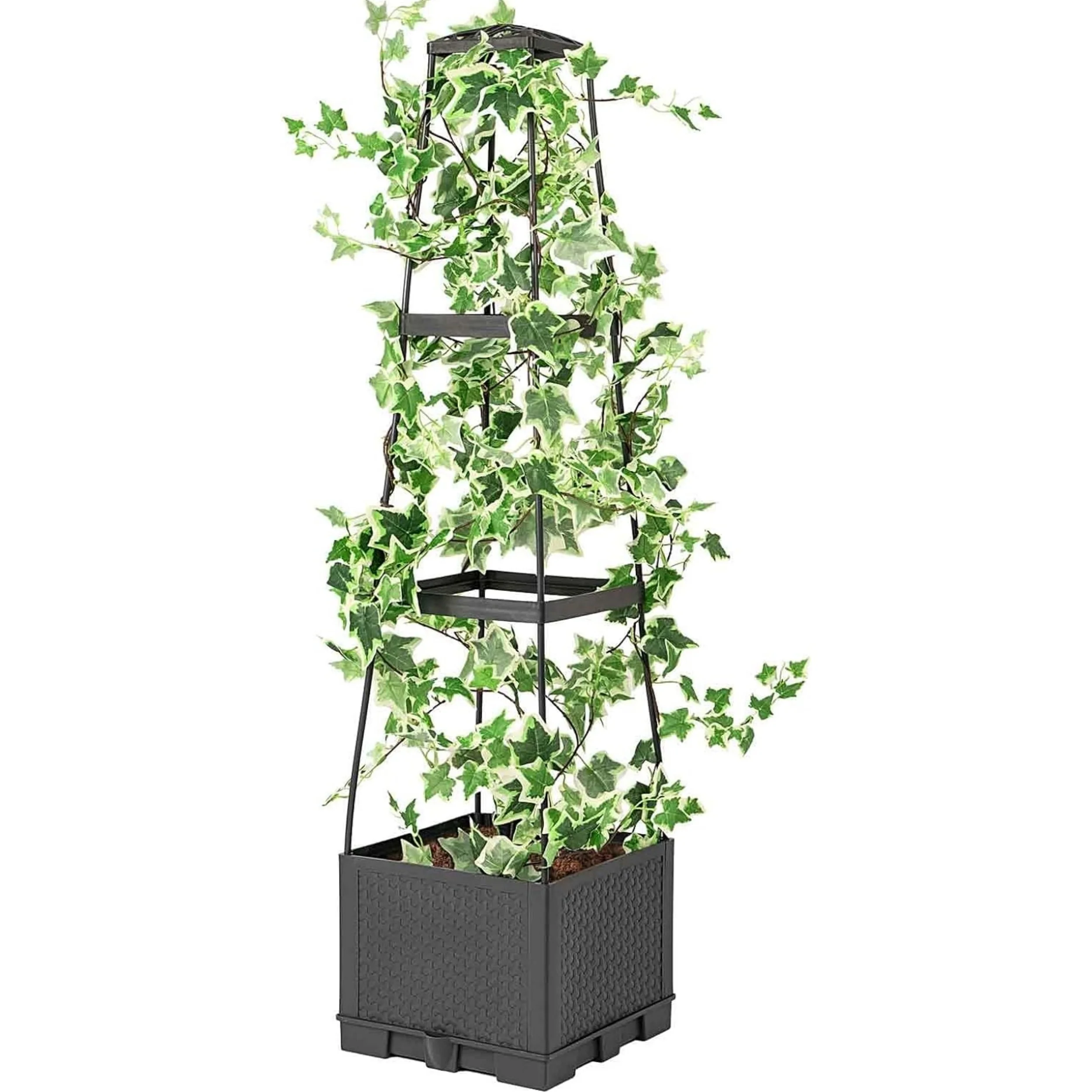 

Raised Garden Bed Planter Box with Trellis, Tomato Planters for Climbing Plants Vegetable Vine Flowers Outdoor Patio, Tomatoes C