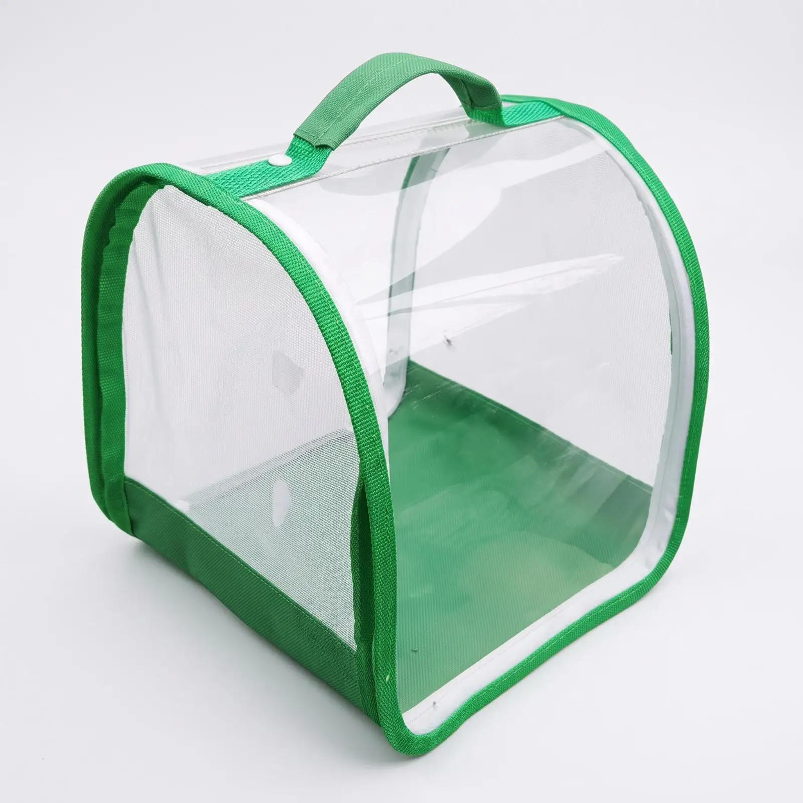 Folding Bug Catcher Cage with Mesh Panels for School Science Projects Portable Observation Box