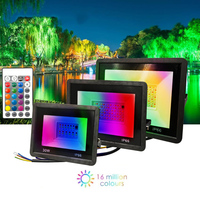 RGB LED Floodlight Outdoor Lighting 220V 30W 50W 100W IP66 Waterproof Outdoor RGB Spotlight Lamps Landscape Lighting