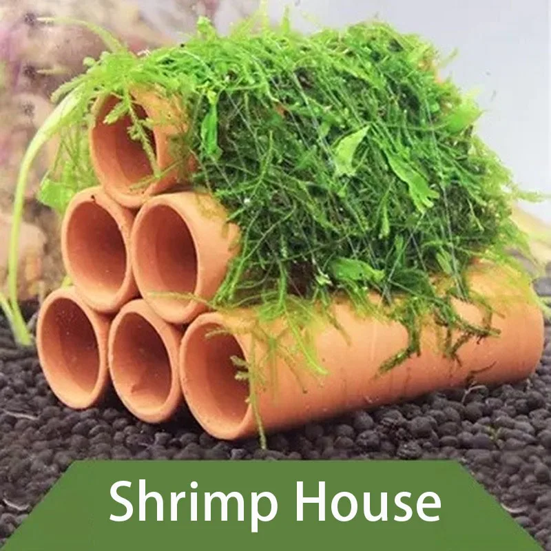 fish hiding accessories Aquarium Corner Cave Hide Axolotl Cichlid Cave Tank Accessories, Corner Fish Aquarium Cave Hide with Viewing Window, Terrarium/Aquarium Underground Natural Cave : Pet Supplies or Reptile Hide Unique Ceramic shrimp shelter Ornament
