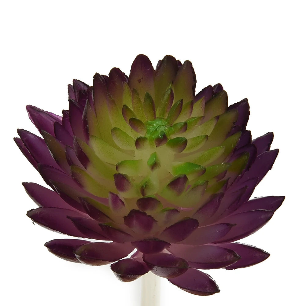 Artifical Artificial Plant Plant Decor Succulent Decorative Echeveria Flower Garden Green Home Office Ornaments