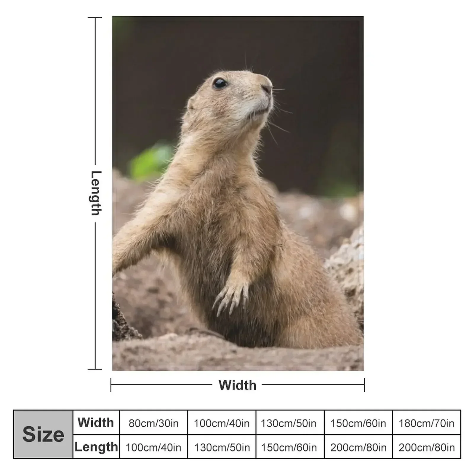 Black Tailed Prairie Dog Throw Blanket for sofa anime Blankets