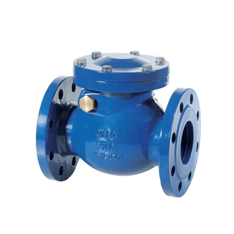 DN50 ~ DN800 150 ~ 800 Adjustable Stainless Steel Swing Check Valve Types
