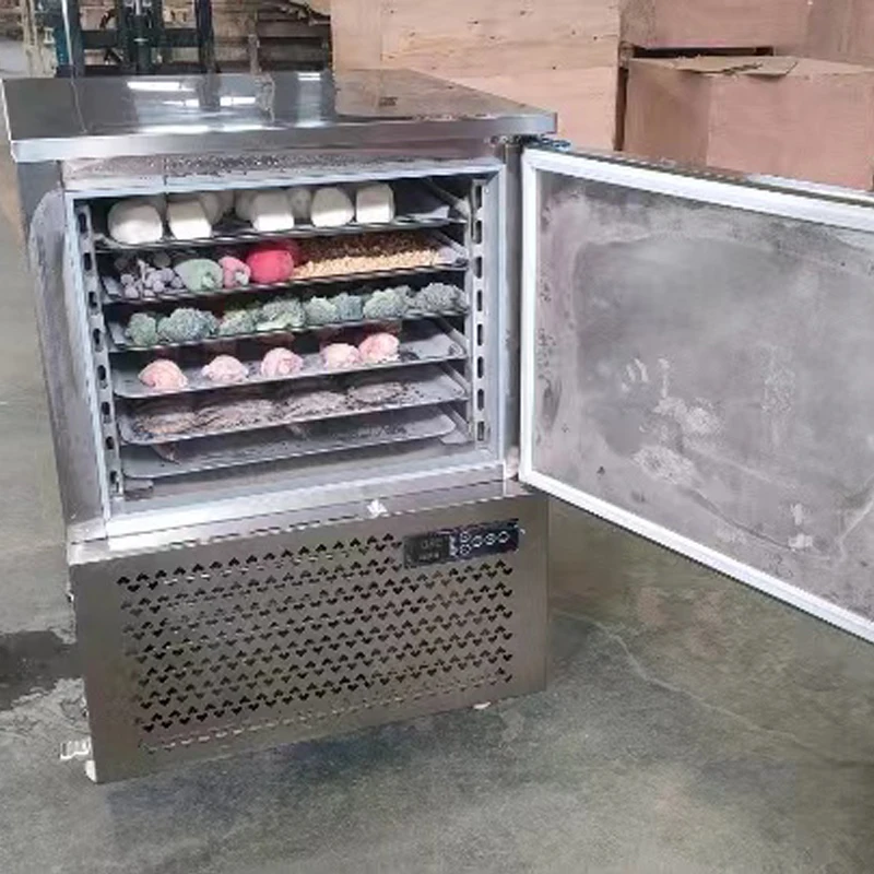 Fast Blast Freezer Industrial Stainless Steel Frozen Sea Cucumber Low Temperature Quick Freezing Cabinet -45 degrees