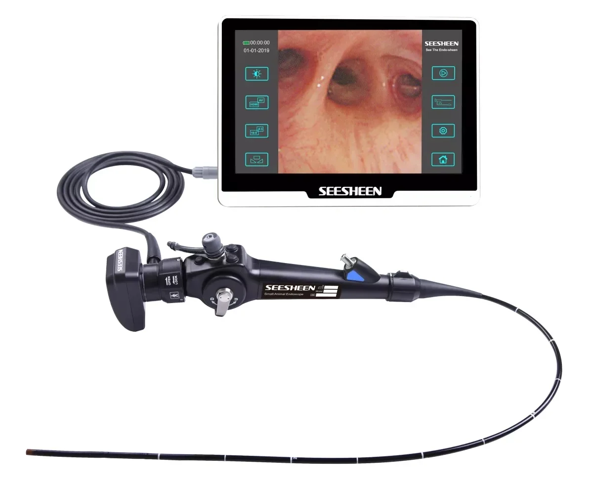 Veterinary portable video bronchoscope equipment Medical no fiber flexible endoscope bronchus  for pet animals