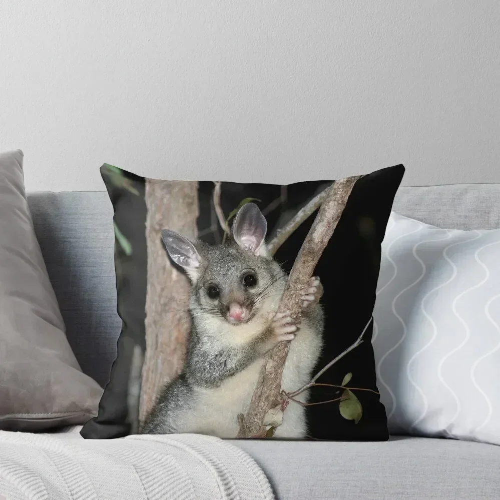 ? Australian brushtail possum (young) Throw Pillow Sofas Covers Custom Cushion luxury sofa pillows pillow