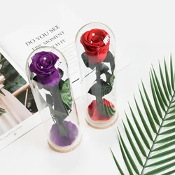 Single immortal Flower in Glass, Eternal Preserved Rose, Never Fades, Christmas, Valentines Day, Birthday Gifts for Women, Women