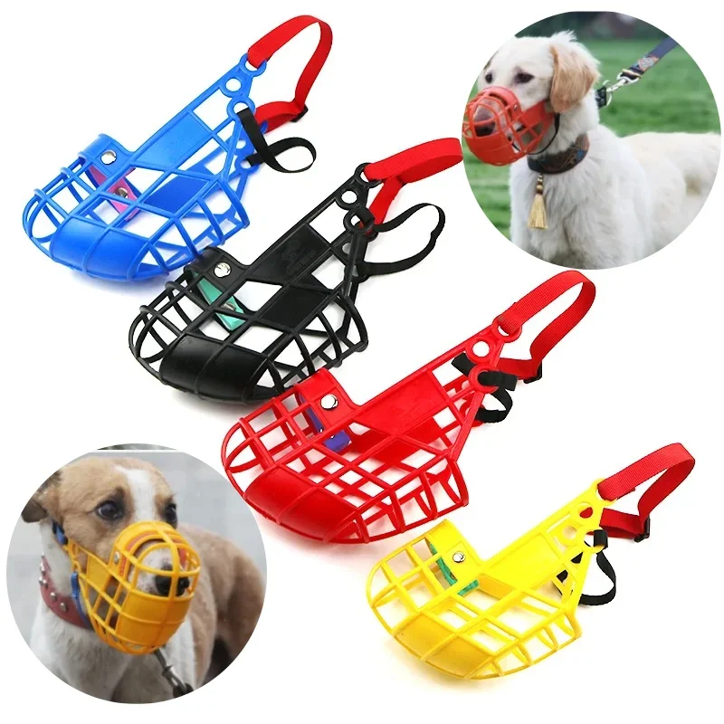 #17 Top Puppy Leads Picks for Every Budget