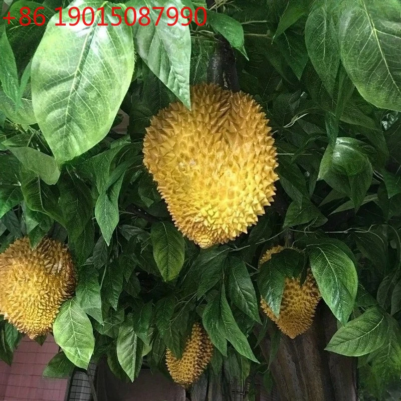 Bionic durian tree fiberglass large fake fruit tree simulation restaurant super tropical plant decorative tree