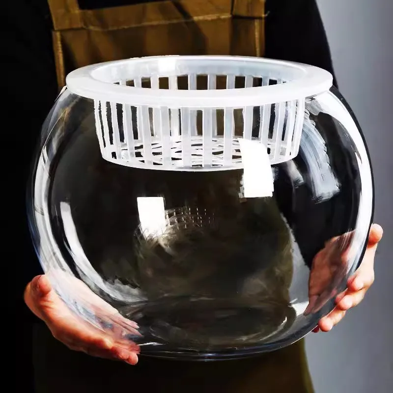 Transparent Glass Water Cultivation Plant Basket Flower Vase Green Ivy White Palm Special Water Culture Container round Ball ...