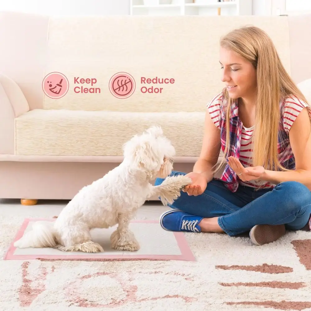 

100PCS Super Absorbent Pet Cushion Disposable Thickened Dog Training Pee Pad Blue/Pink/Grey Bamboo Charcoal Urine Nappy Mat